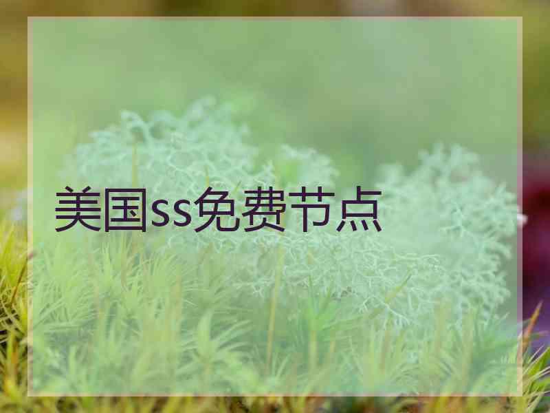 美国ss免费节点