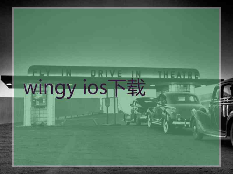 wingy ios下载