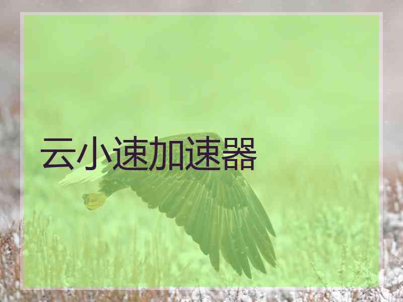 云小速加速器