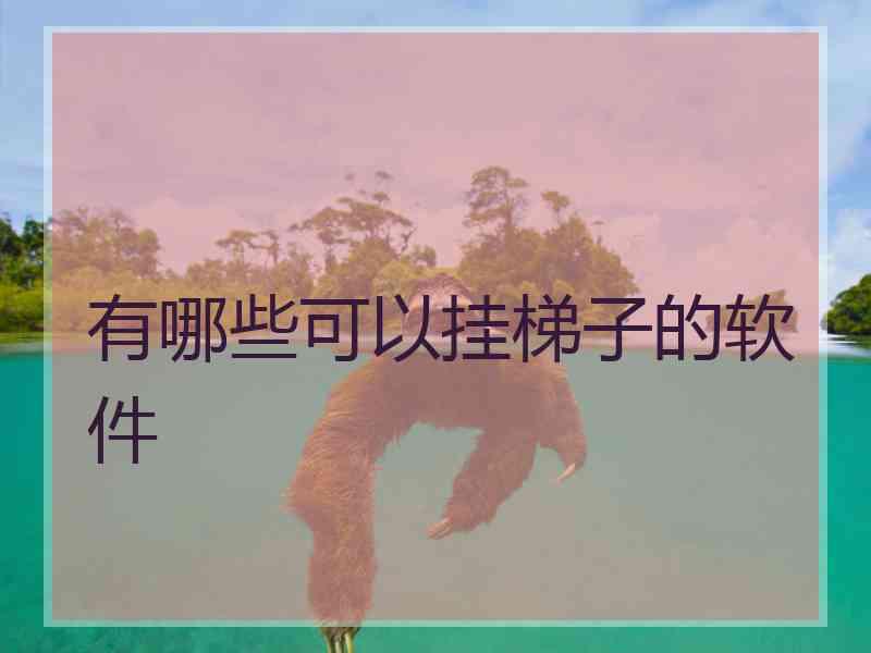 有哪些可以挂梯子的软件