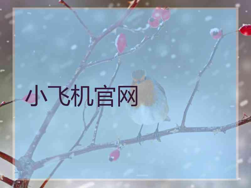 小飞机官网