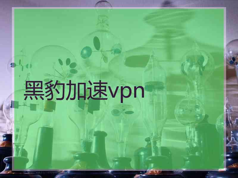 黑豹加速vpn