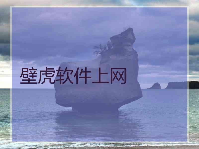壁虎软件上网