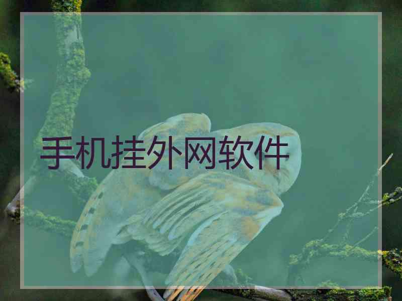 手机挂外网软件