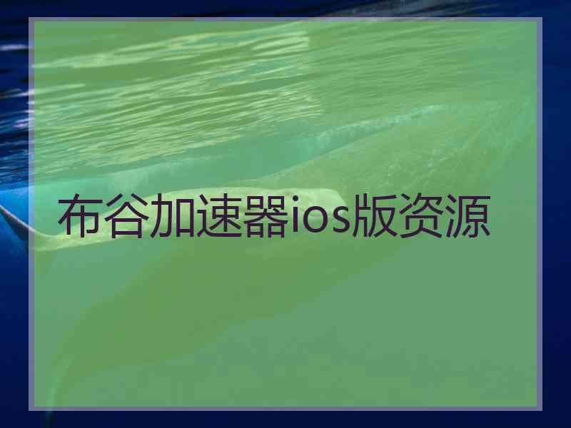 布谷加速器ios版资源