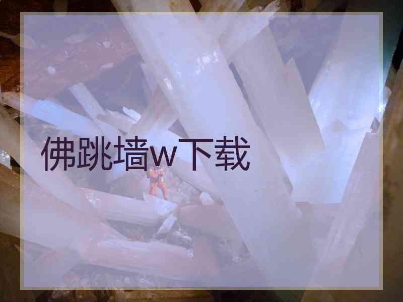佛跳墙w下载