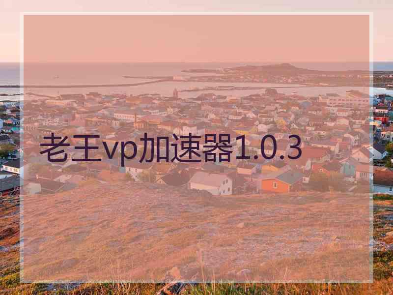 老王vp加速器1.0.3