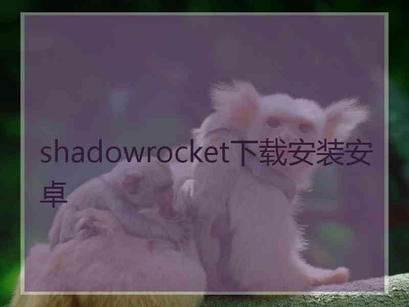 shadowrocket下载安装安卓