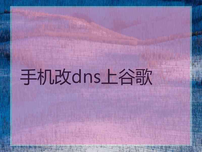 手机改dns上谷歌