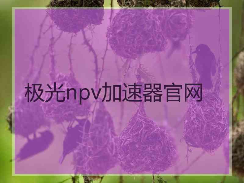 极光npv加速器官网