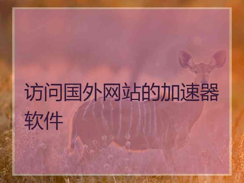 访问国外网站的加速器软件