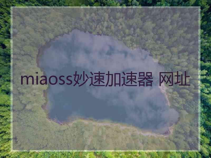 miaoss妙速加速器 网址