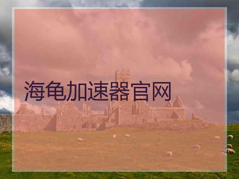 海龟加速器官网
