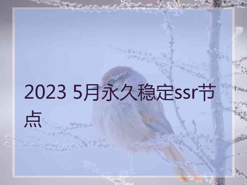 2023 5月永久稳定ssr节点