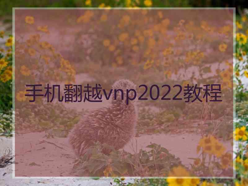 手机翻越vnp2022教程