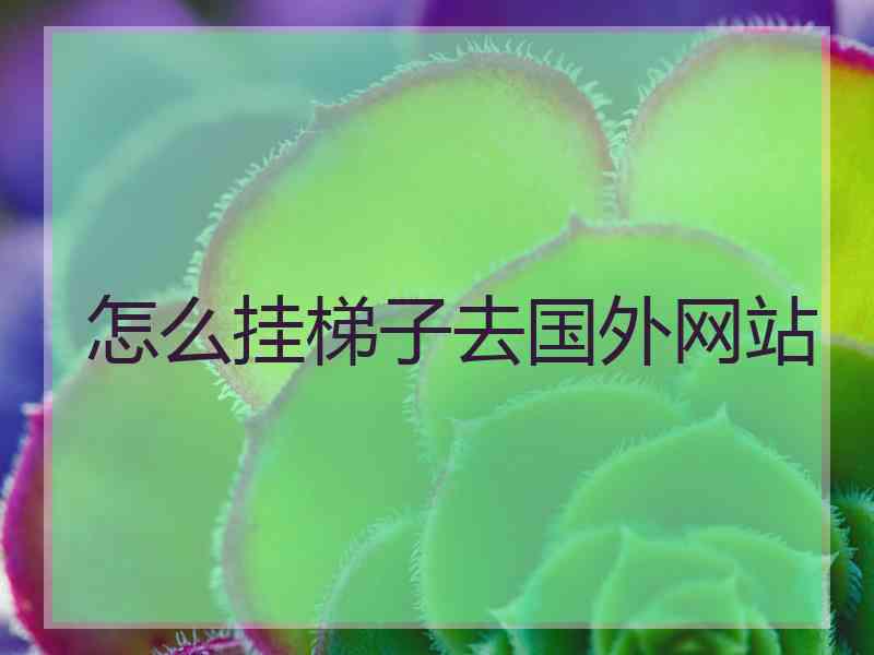 怎么挂梯子去国外网站