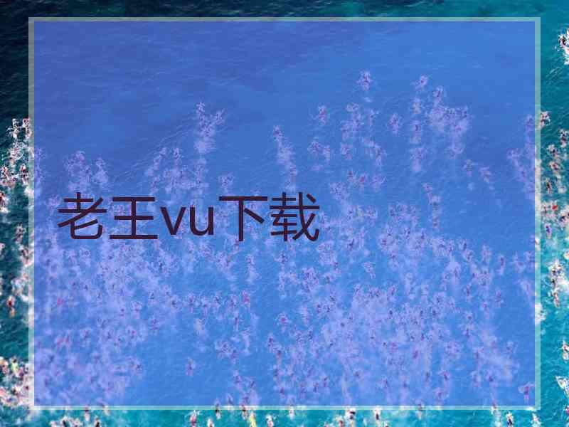 老王vu下载