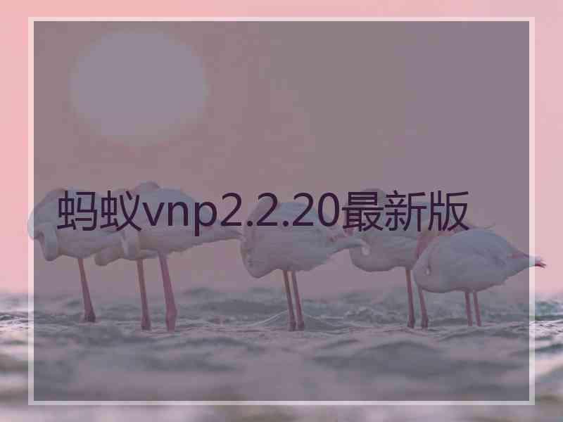 蚂蚁vnp2.2.20最新版