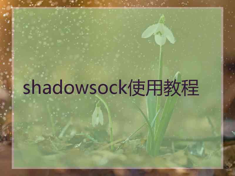 shadowsock使用教程