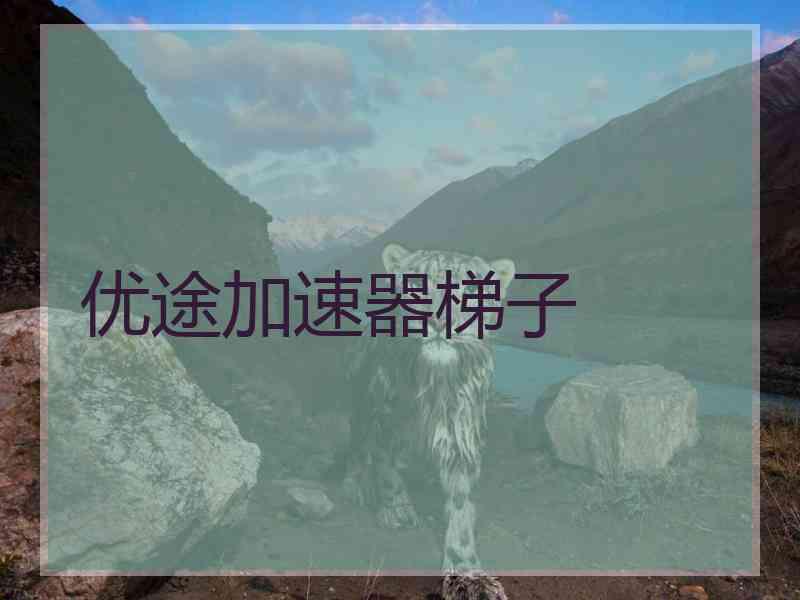 优途加速器梯子