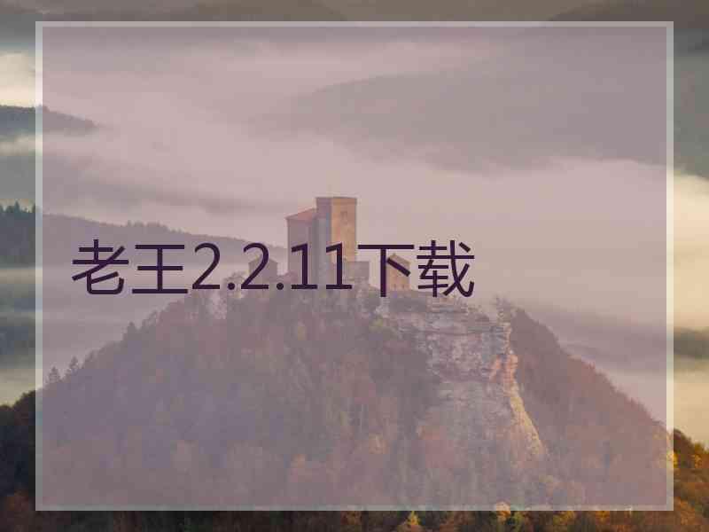 老王2.2.11下载