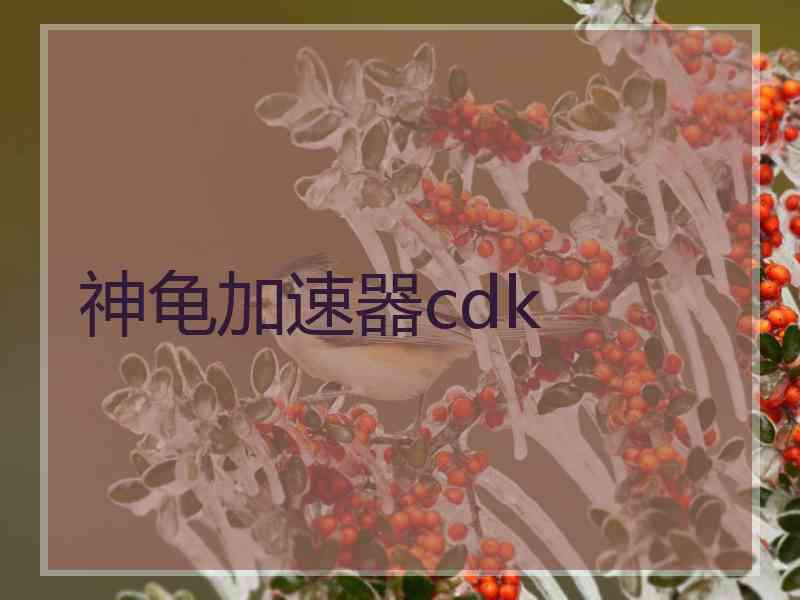 神龟加速器cdk