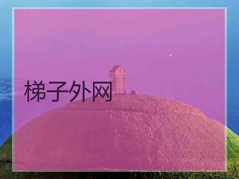 梯子外网