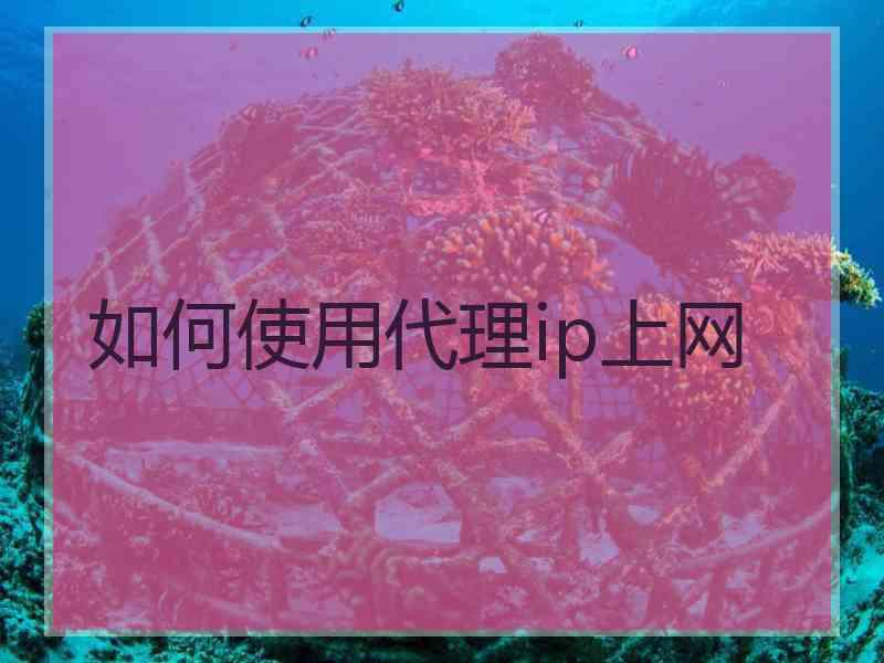 如何使用代理ip上网