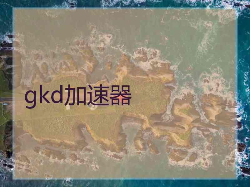 gkd加速器