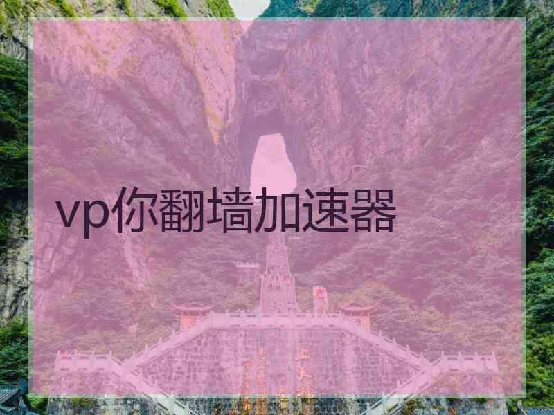 vp你翻墙加速器