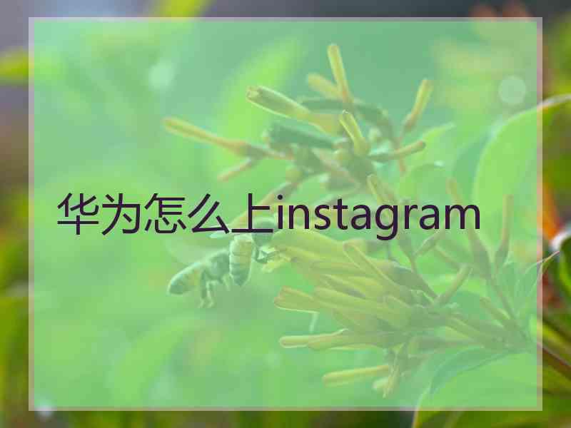 华为怎么上instagram