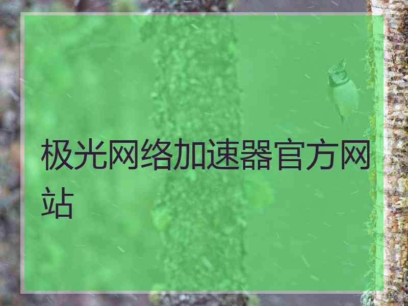 极光网络加速器官方网站