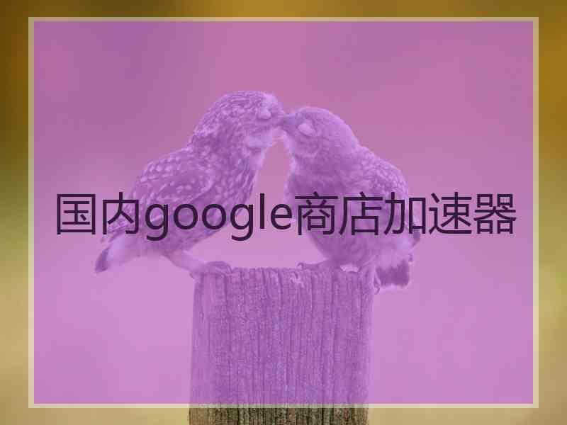 国内google商店加速器