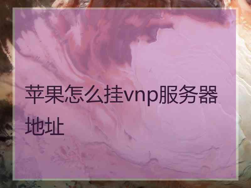 苹果怎么挂vnp服务器地址