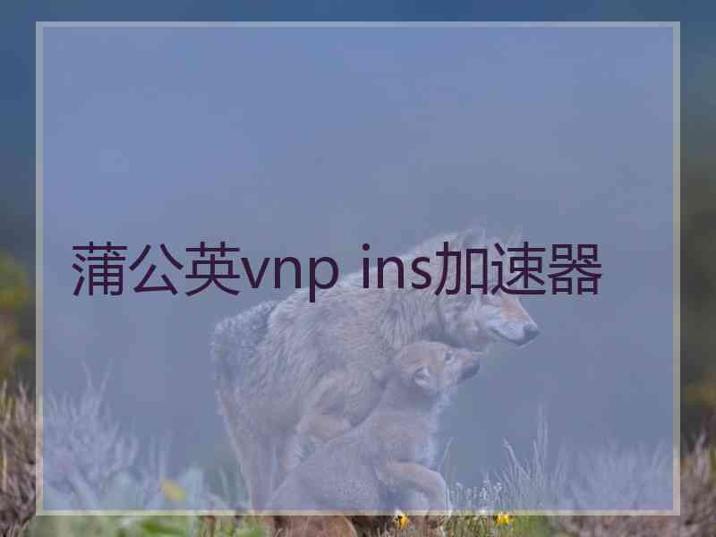 蒲公英vnp ins加速器