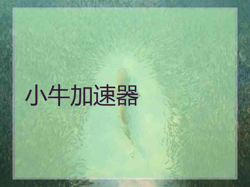小牛加速器