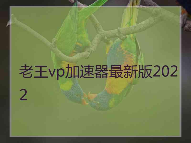 老王vp加速器最新版2022