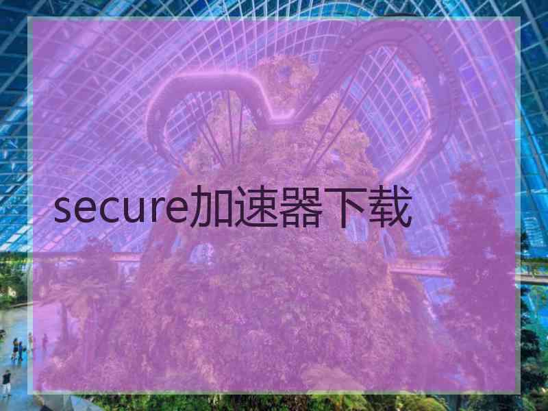 secure加速器下载