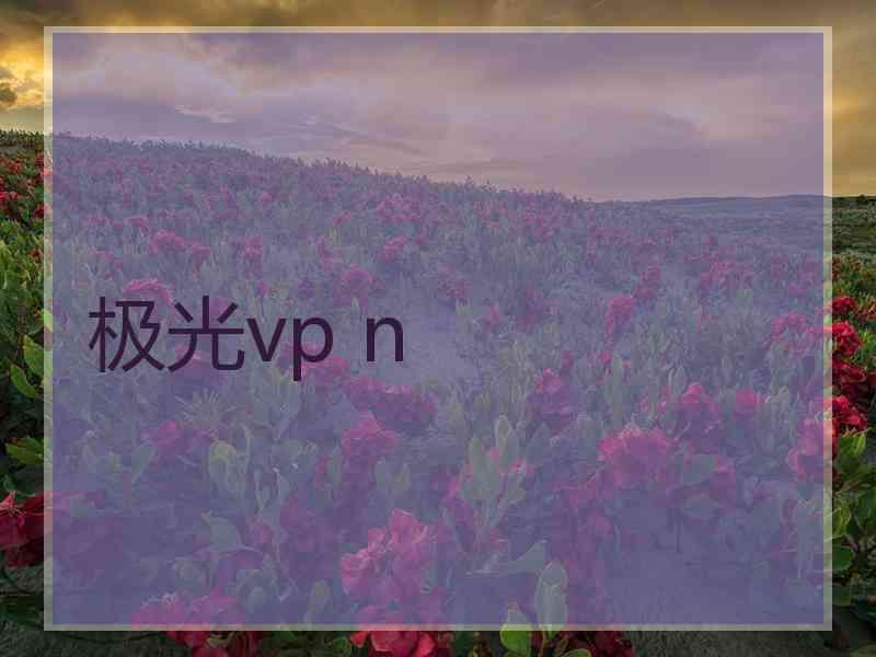 极光vp n