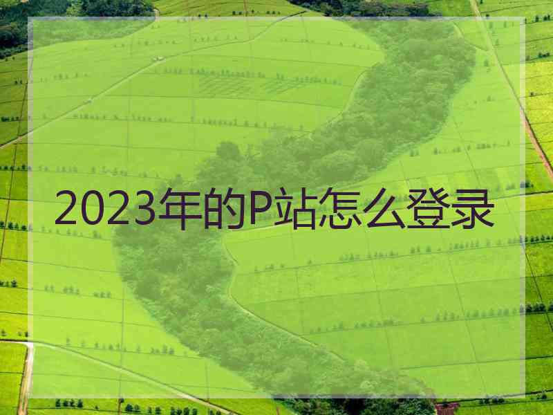 2023年的P站怎么登录