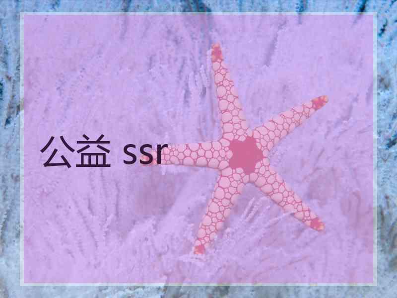 公益 ssr