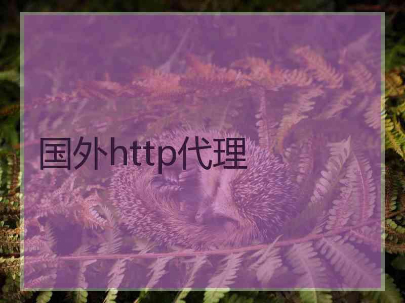 国外http代理