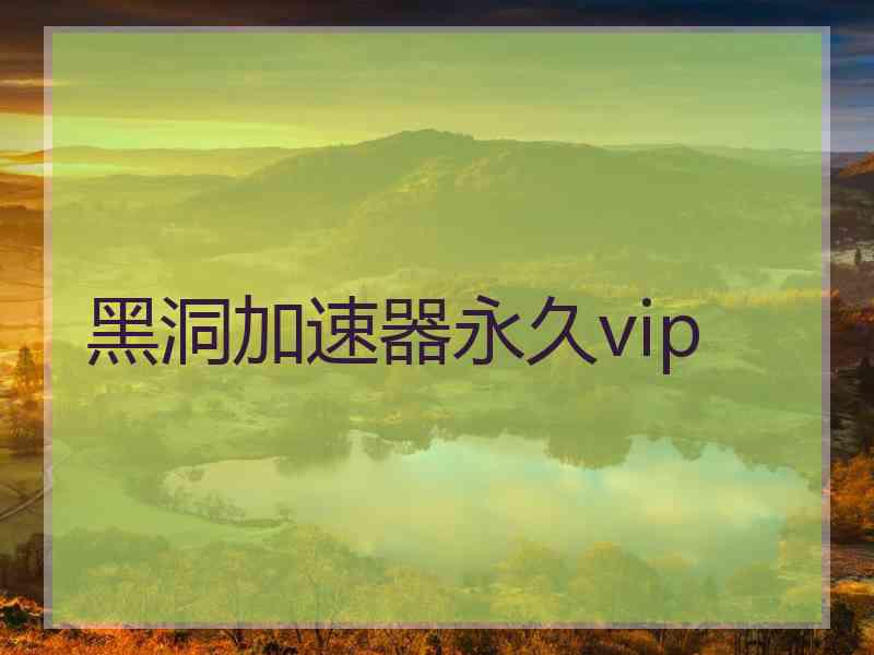 黑洞加速器永久vip