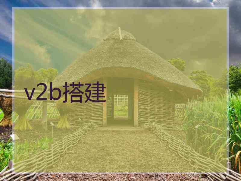 v2b搭建