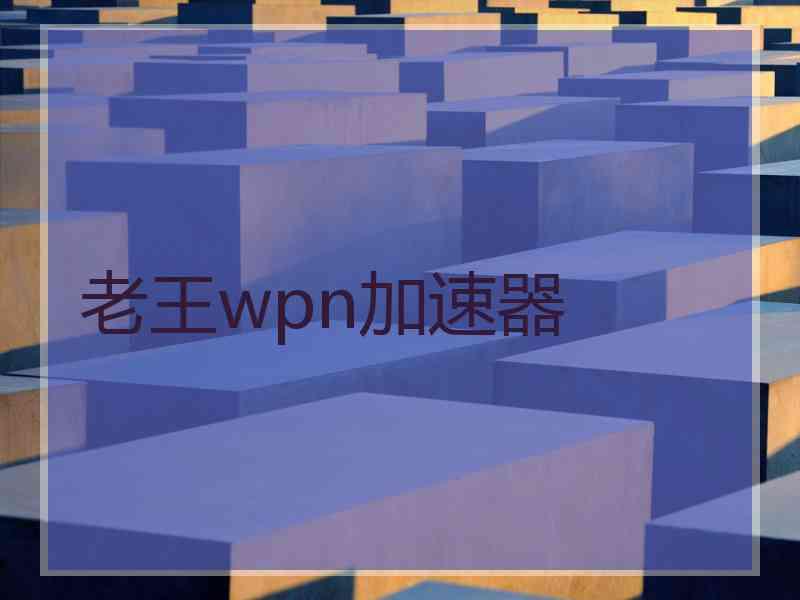 老王wpn加速器