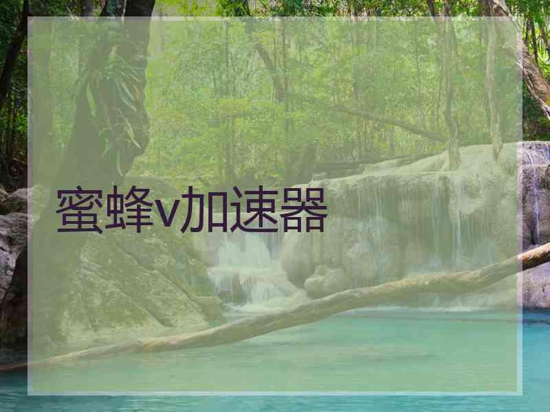 蜜蜂v加速器