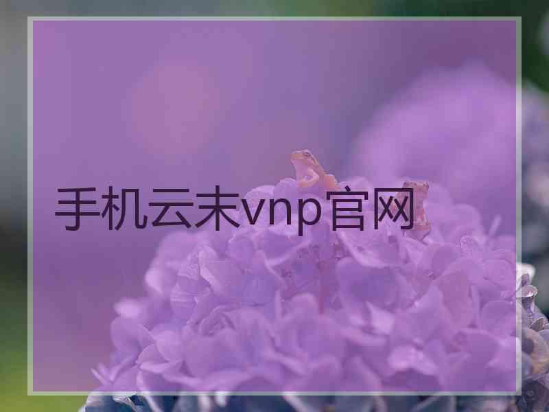 手机云末vnp官网