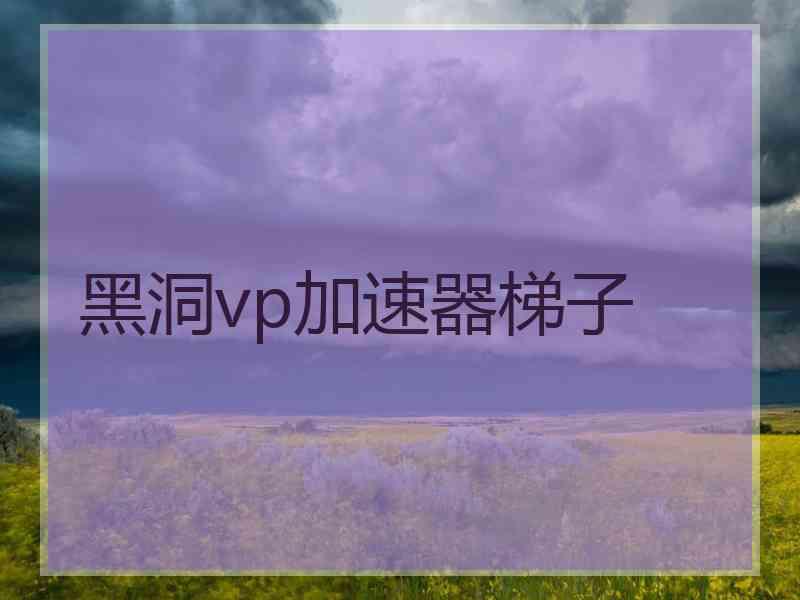 黑洞vp加速器梯子