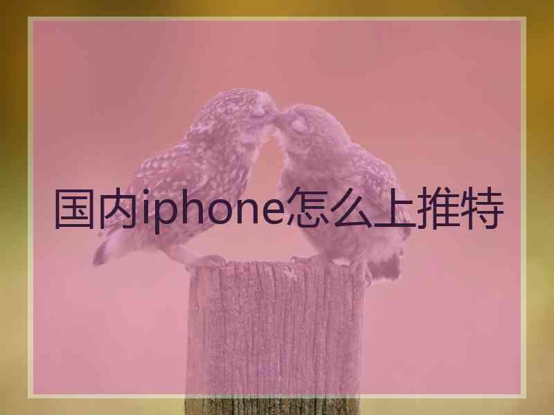 国内iphone怎么上推特