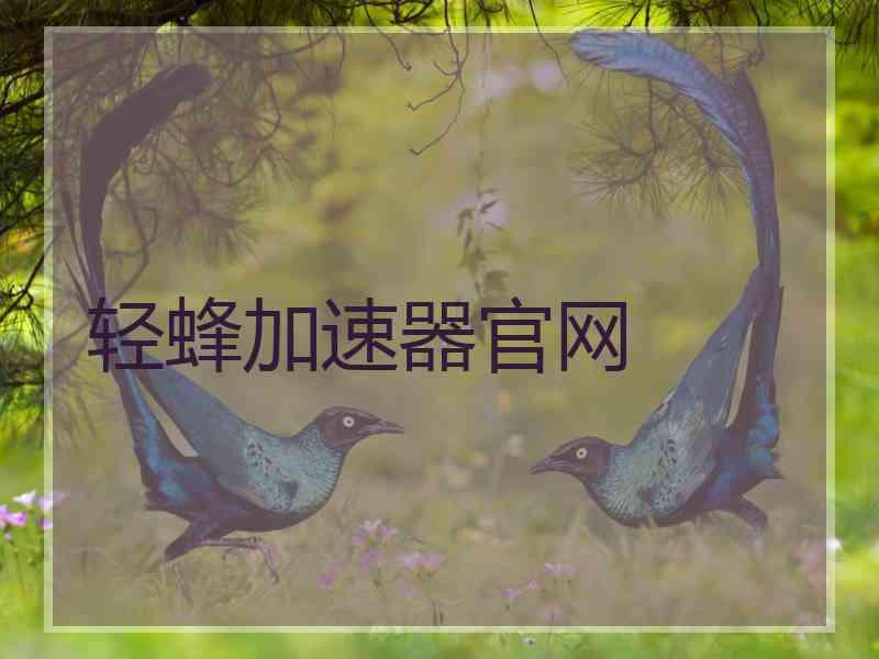 轻蜂加速器官网